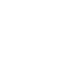 The Linked In Icon
