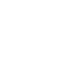 The Twitter icon